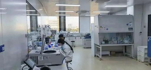 奉贤生物技术企业新春发力，研发一线“火力全开”冲刺全年目标